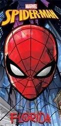 Spiderman Web City Florida Beach Towel