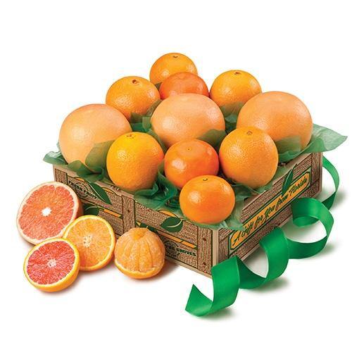 Sun-Kissed Sampler