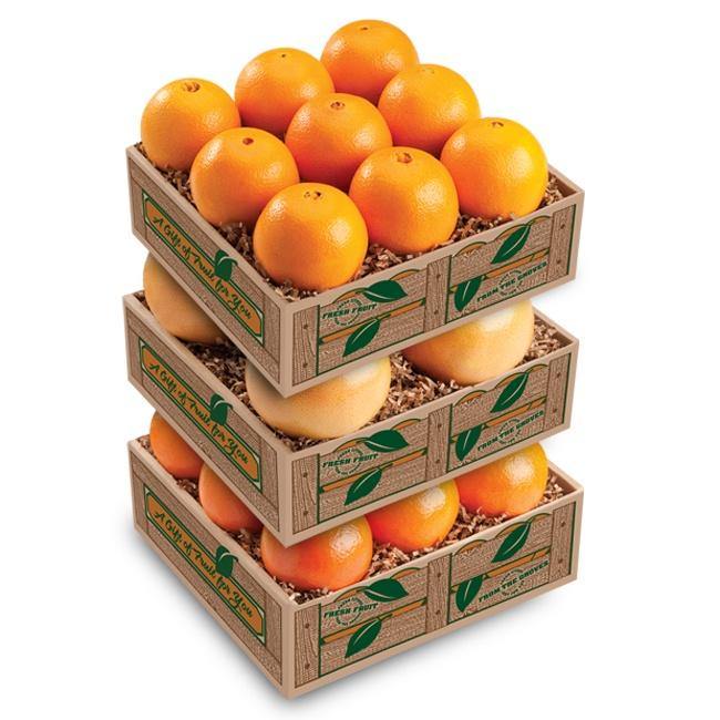 The Citrus Taster Tower