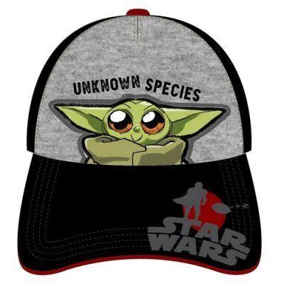 The Mandalorian Gorgu Baby Yoda The Child Unknown Species Cap