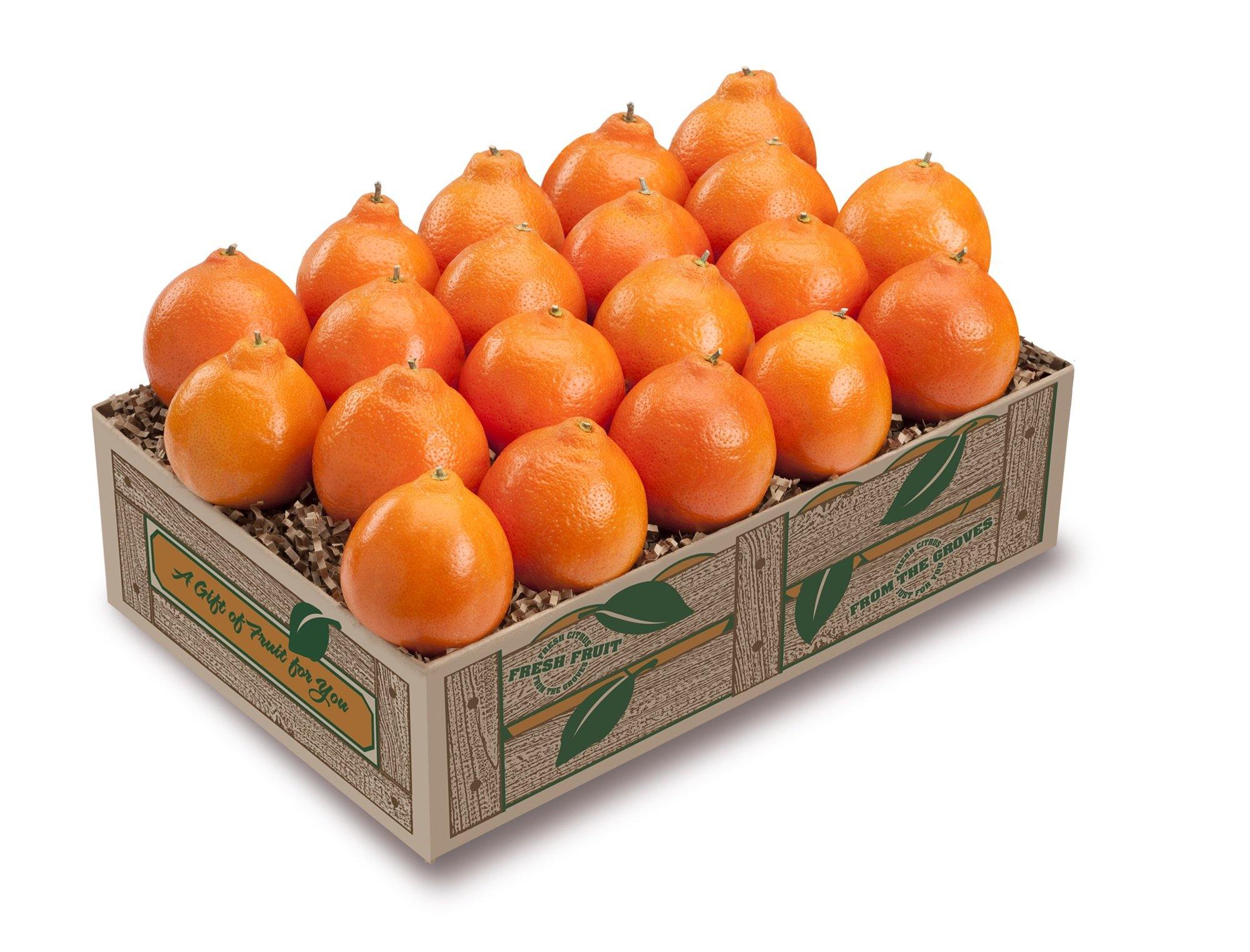 The Petite Sweets Club Plan 4 Months