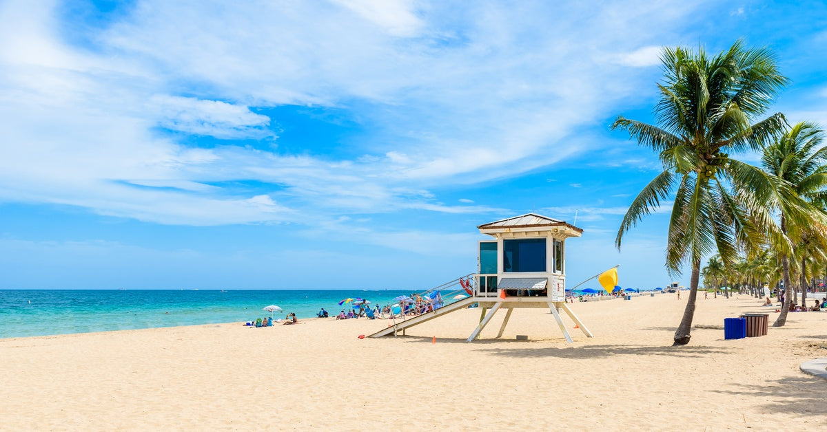 A beach full of people and colorful umbrellas. There is a hut with a ramp set up on the shore next to a palm tree.
