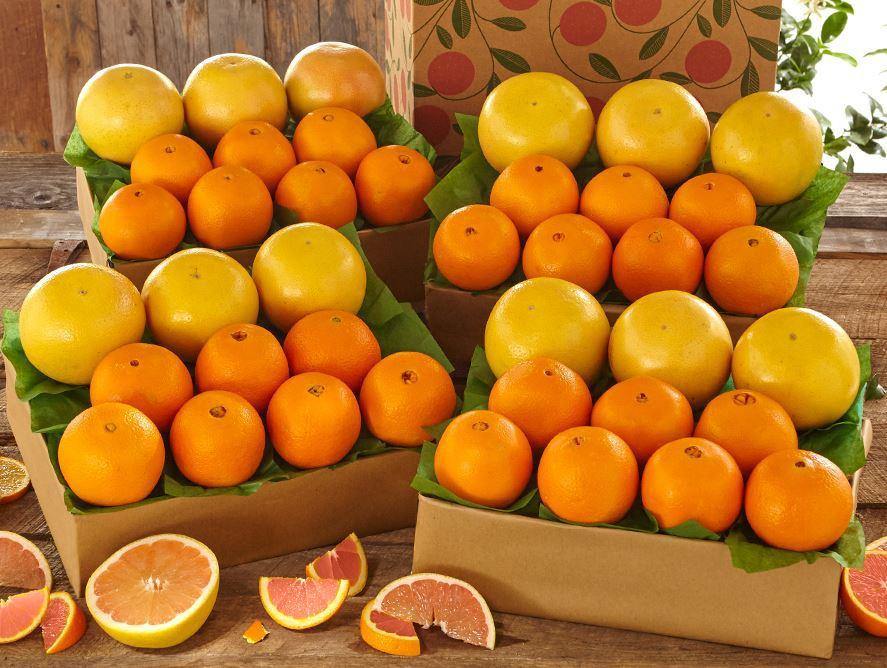 Citrus Variety Packs - Floridagifts