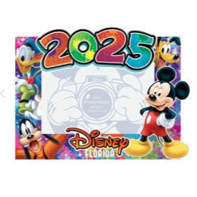 Disney 2025 Memorabilia