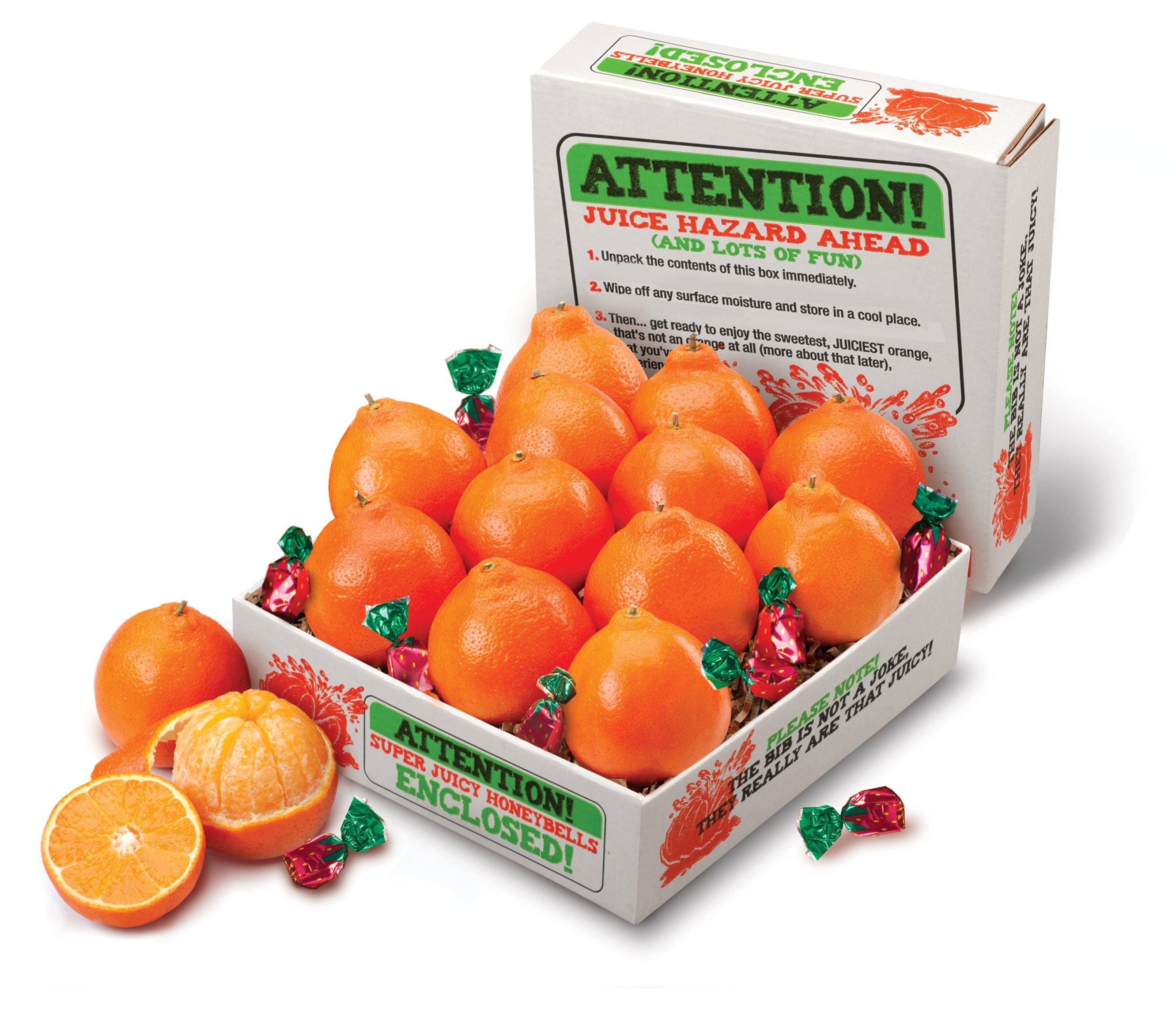 Premium Oranges - Floridagifts