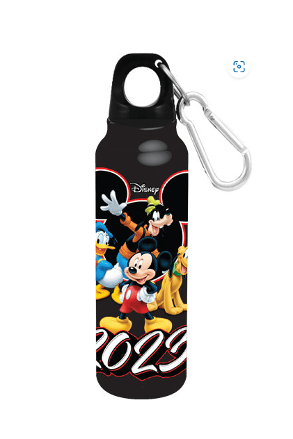 2023 Mickey Mouse and Friends Aluminum Water Bottle