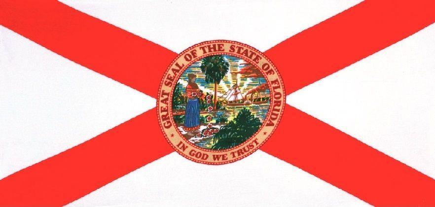 30" X 60" Florida Flag Velour Beach Towel
