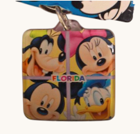 Florida Disney Mickey & Friends Faces Lucite Keyring