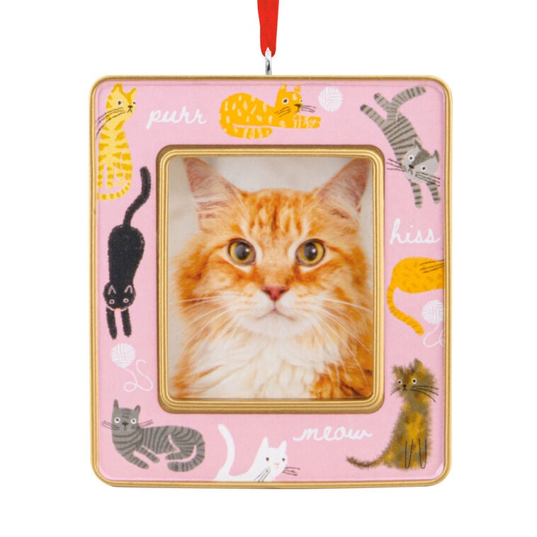Playful Kitties 2026 Photo Frame Hallmark Ornament