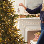 Hallmark Keepsake Ornament 2025 RIDE AROUND THE KINGDOM