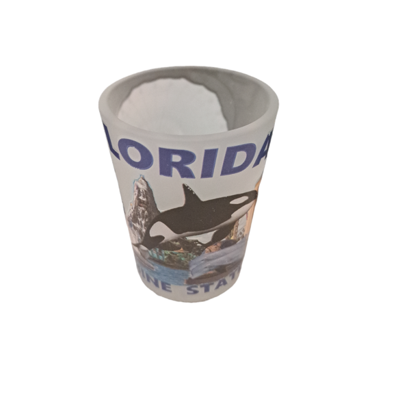 Florida Orlando City Sunshine State Shot Glass