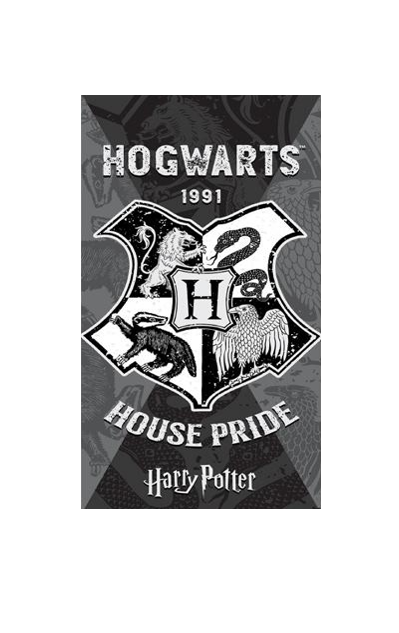 Harry Potter Hogwarts House Pride Towel