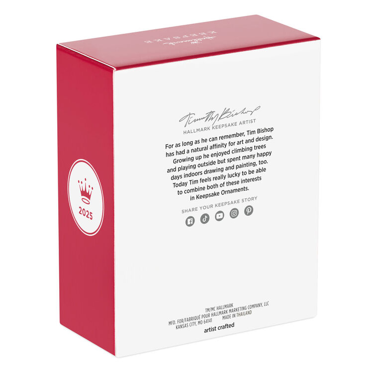 Harry Potter and the Sorcerer's Stone™ Mirror of Erised™ Ornament