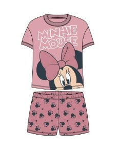 Toddler Girl 2pc Set Minnie Mouse Head Rose