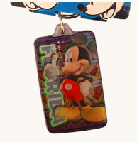 Florida Mickey Classic Rectangle Lucite Keyring