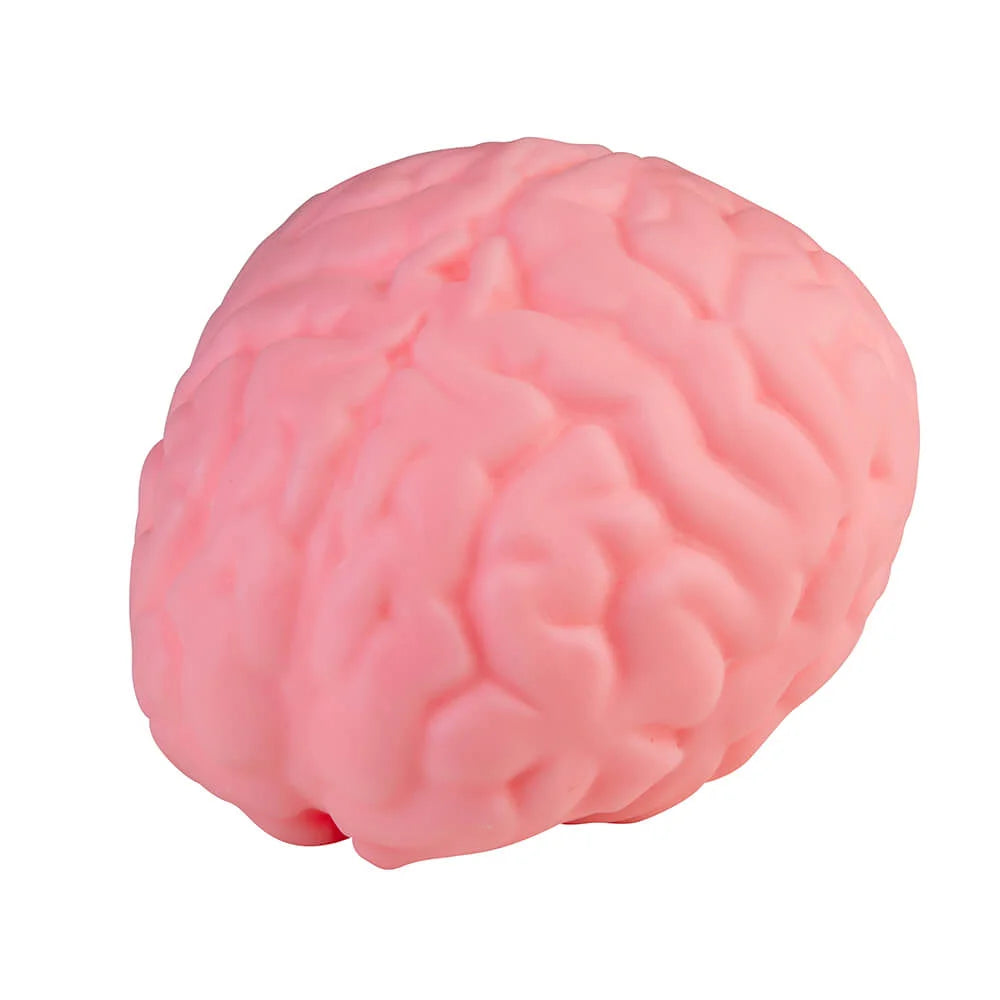 ORB Curiosities Easy Sqweezy Jumbo Brainy 1PC
