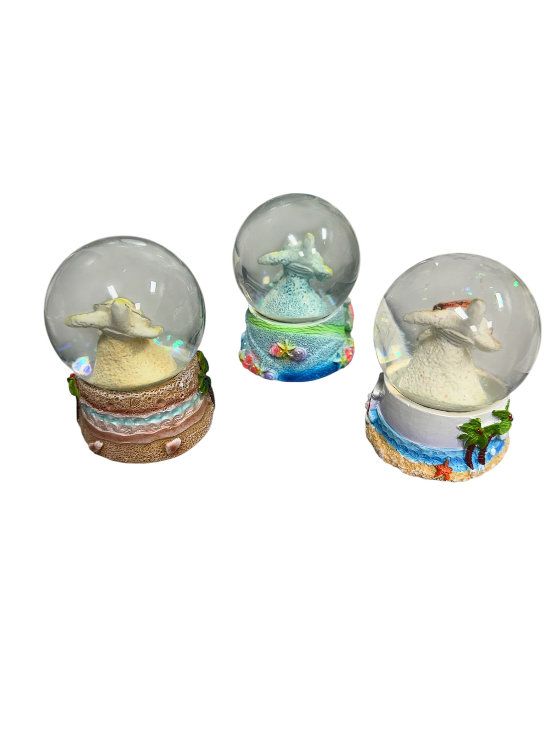 Florida Turtle Polyresin Big Snow Globe Asst.