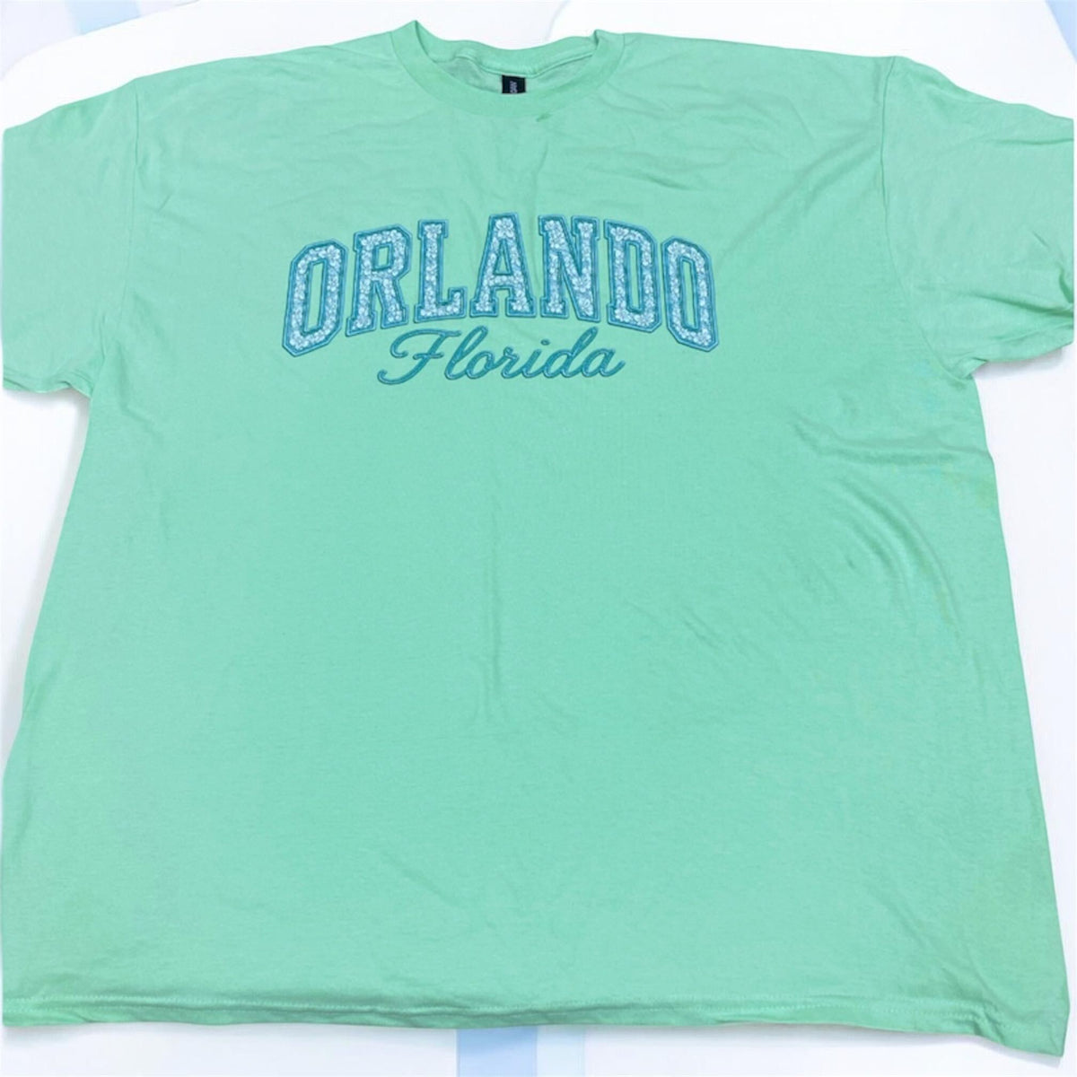 Orlando Florida Mint Green T-Shirt