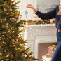 Disney Winnie the Pooh Up for Adventure Ornament With Light