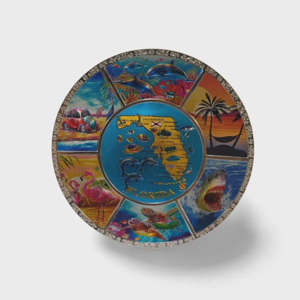 Florida Alloy Decorative Plate (Large) – “Florida Map”