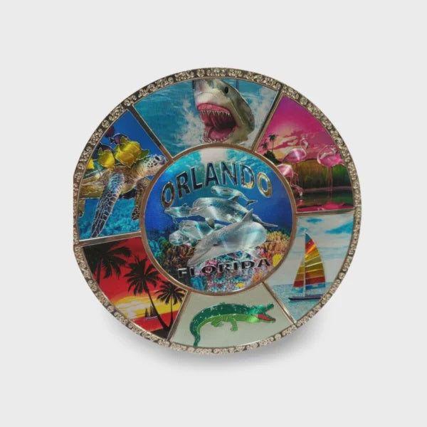 Florida Alloy Decorative Plate (Large) – “Orlando Sea Life