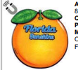Florida Sunshine Orange Magnet