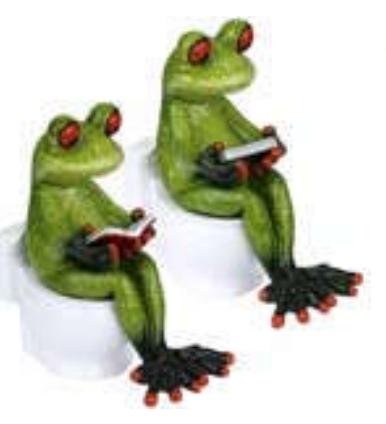 Frog on the Toilet Figure 1PC