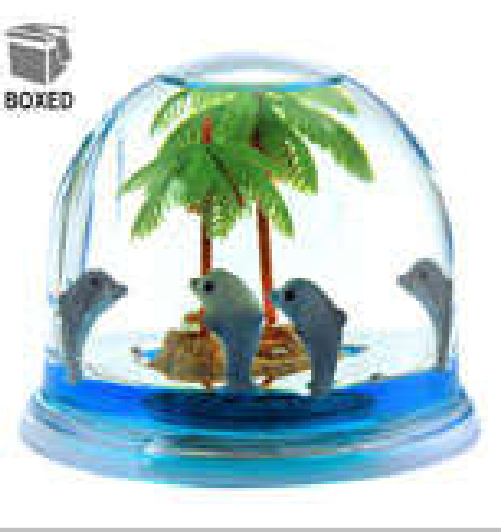 Dolphins 4 & Palm Dome P/W
