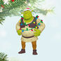 Shrek And To All a Gross Night Ornament