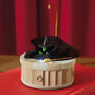 Hallmark Keepsake Ornament 2025 IM MELTING IM MELTING