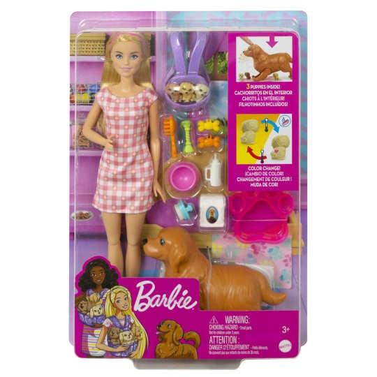 Barbie Doll And Pets