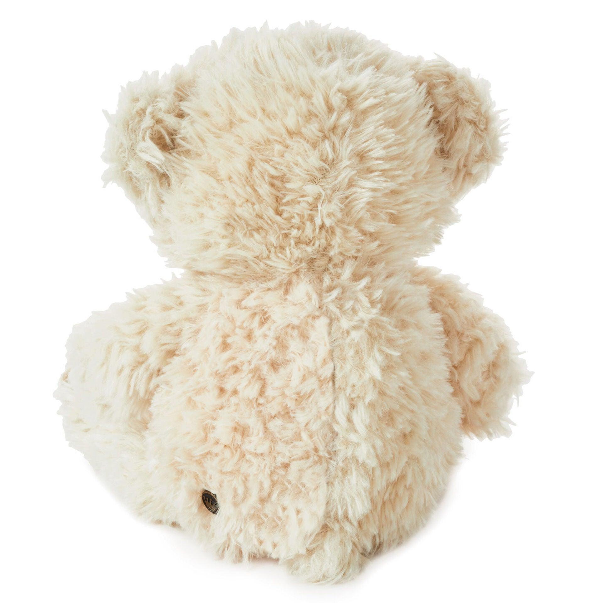 Be There When You Can’t Recordable Bear Stuffed Animal