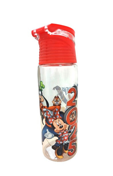 2025 Mickey & Friends Flip Top Water Bottle