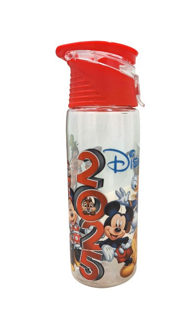 2025 Mickey & Friends Flip Top Water Bottle