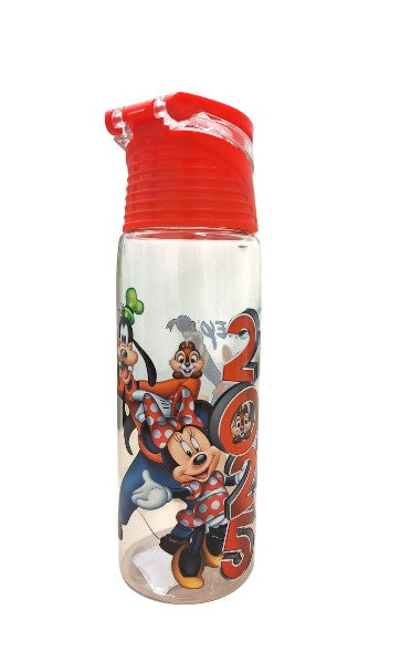 2025 Mickey & Friends Flip Top Water Bottle