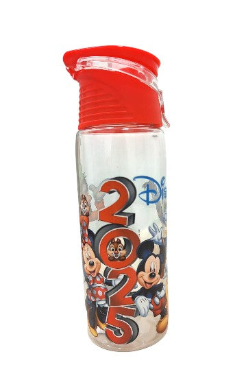 2025 Mickey & Friends Flip Top Water Bottle