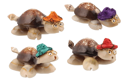 Cowrie Shell Baby Turtles with Hats and Glasses (Random Color)