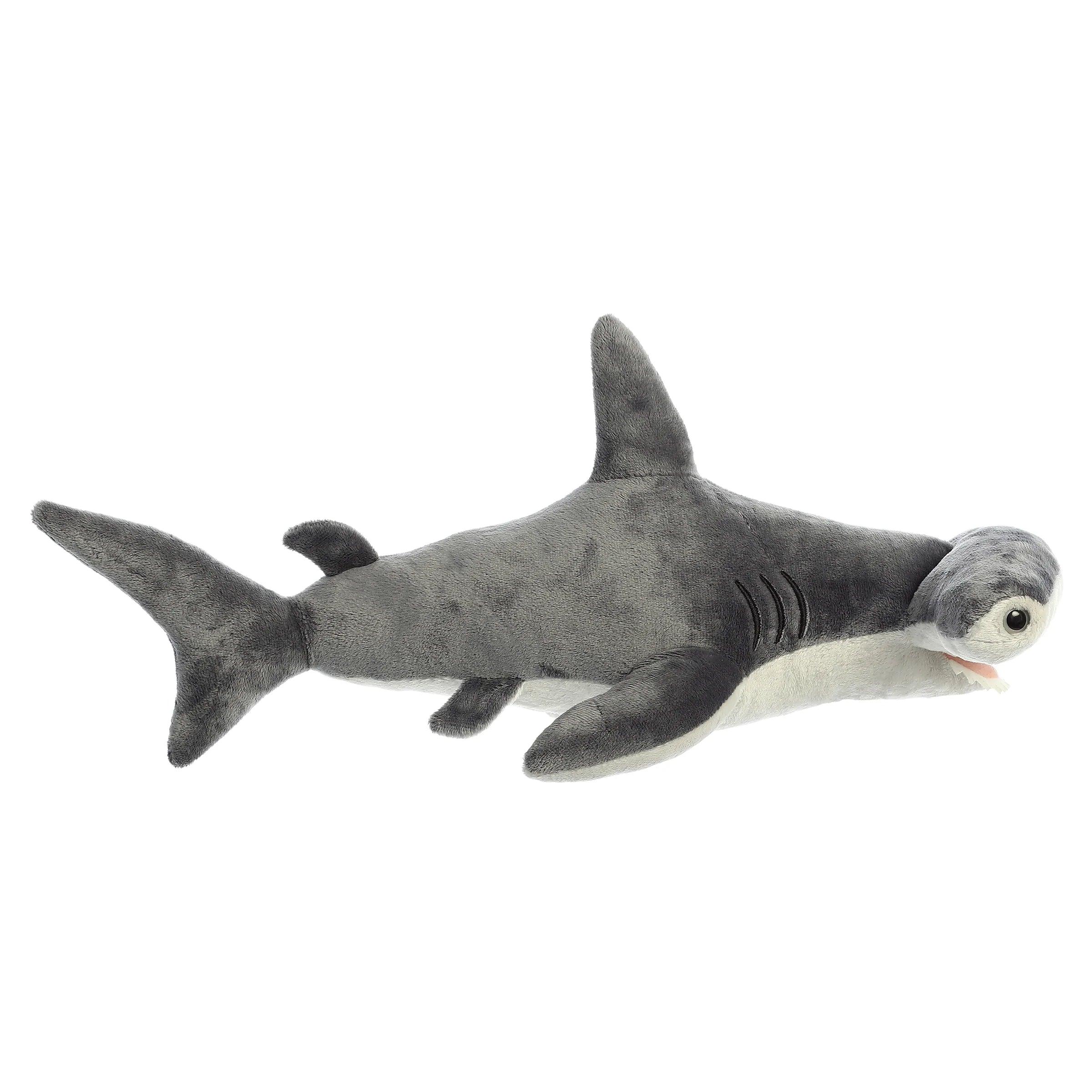 Destination Nation - 12" Hammerhead Shark