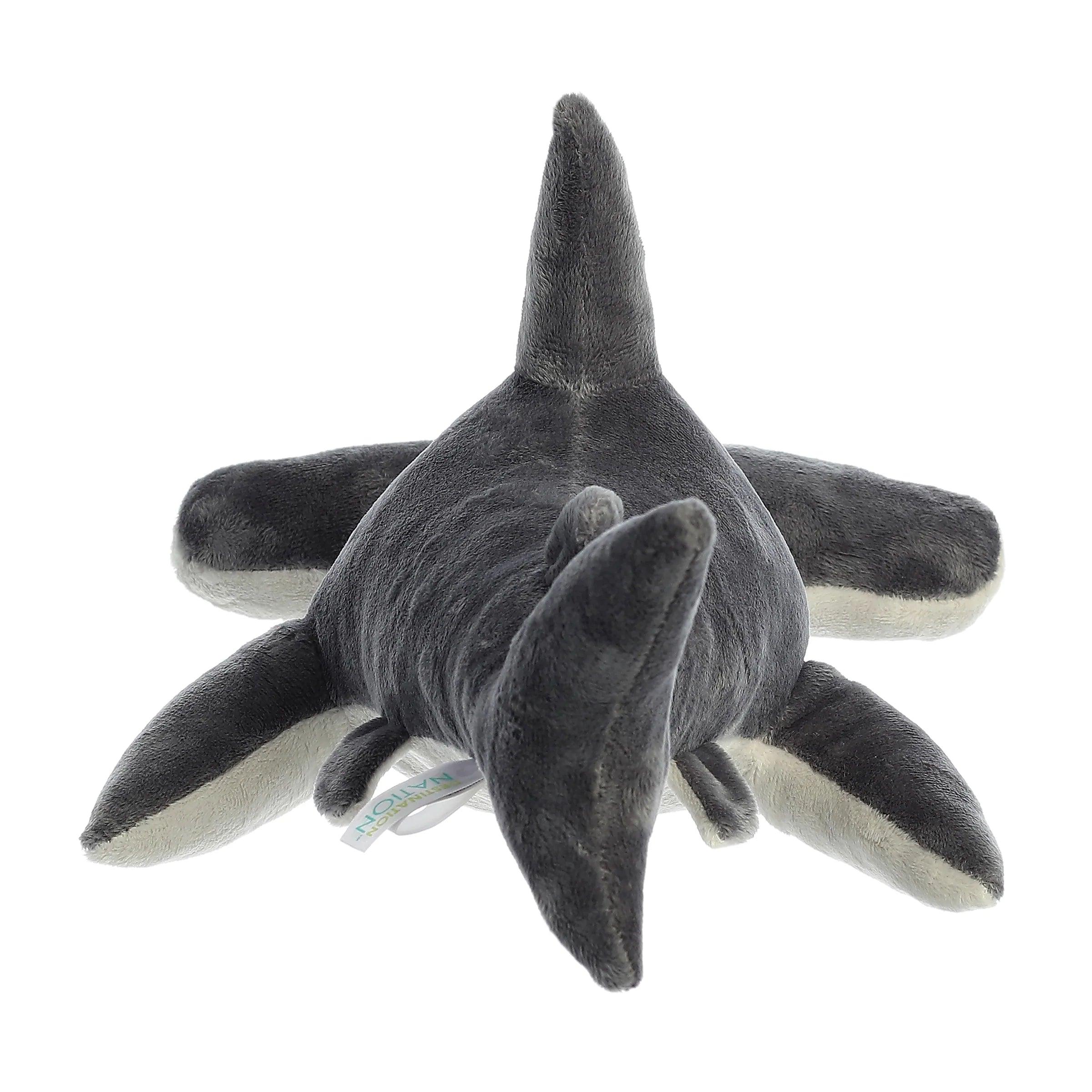 Destination Nation - 12" Hammerhead Shark