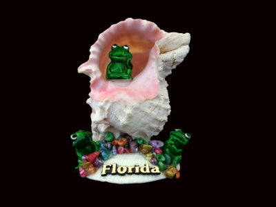 Pink Murex Arrangement with Frogs-Shell Decoration