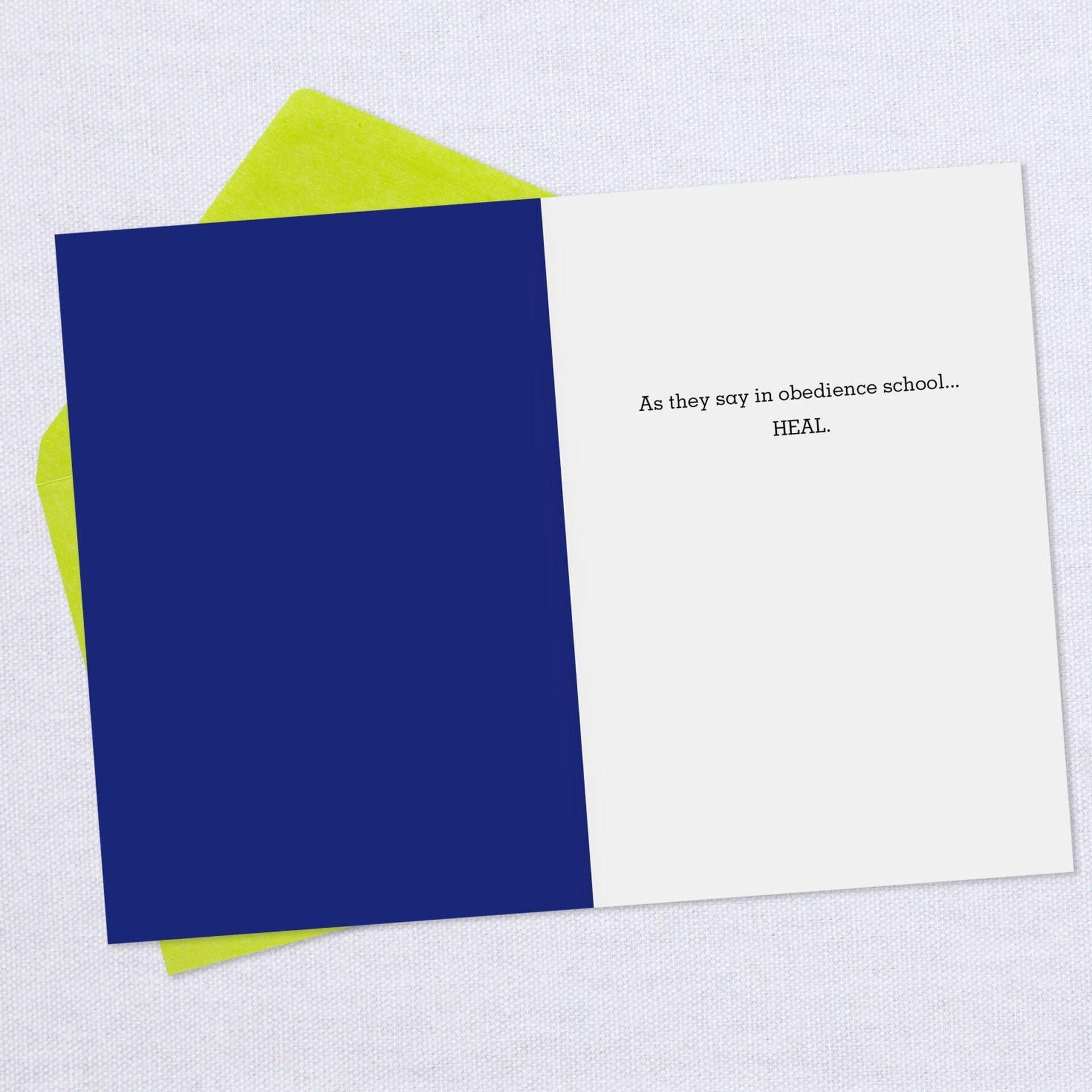 Dog Doctor's Orders Get Well Card