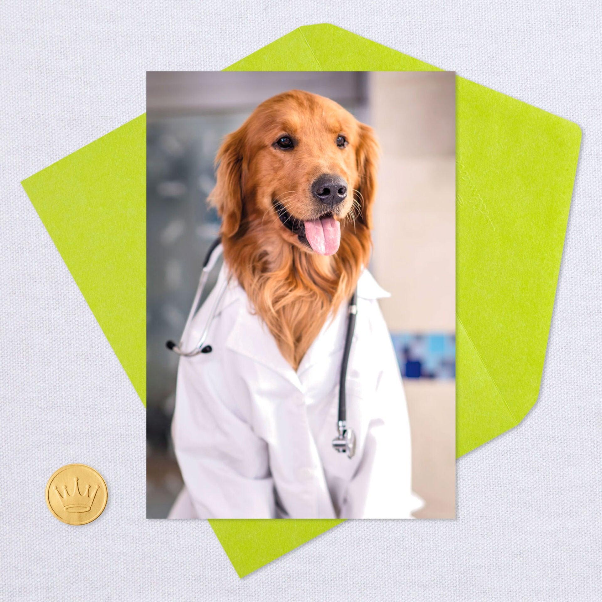 Dog Doctor's Orders Get Well Card