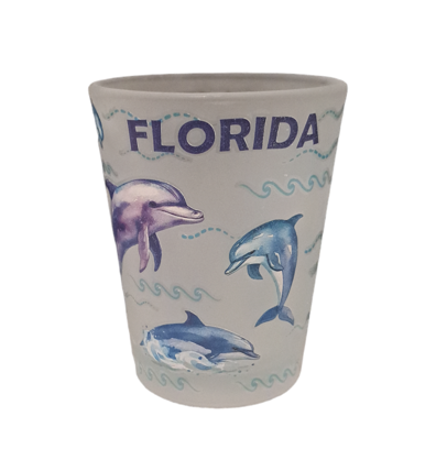 Florida Shot Glass Dolphin