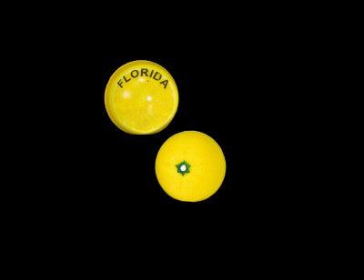 Florida Lemon Bouncy Ball