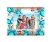 Turtles Teal 4X6" Photo Frame