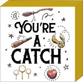 Harry Potter Quite a Catch Quiditch 6" x6" × 1.5" Box Wall Sign