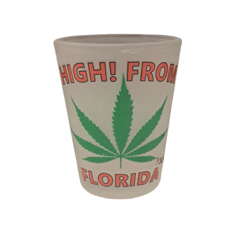 High From Florida Shot Glass