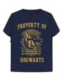 Harry Potter Quidditch Captain Dark Navy Youth T-shirt