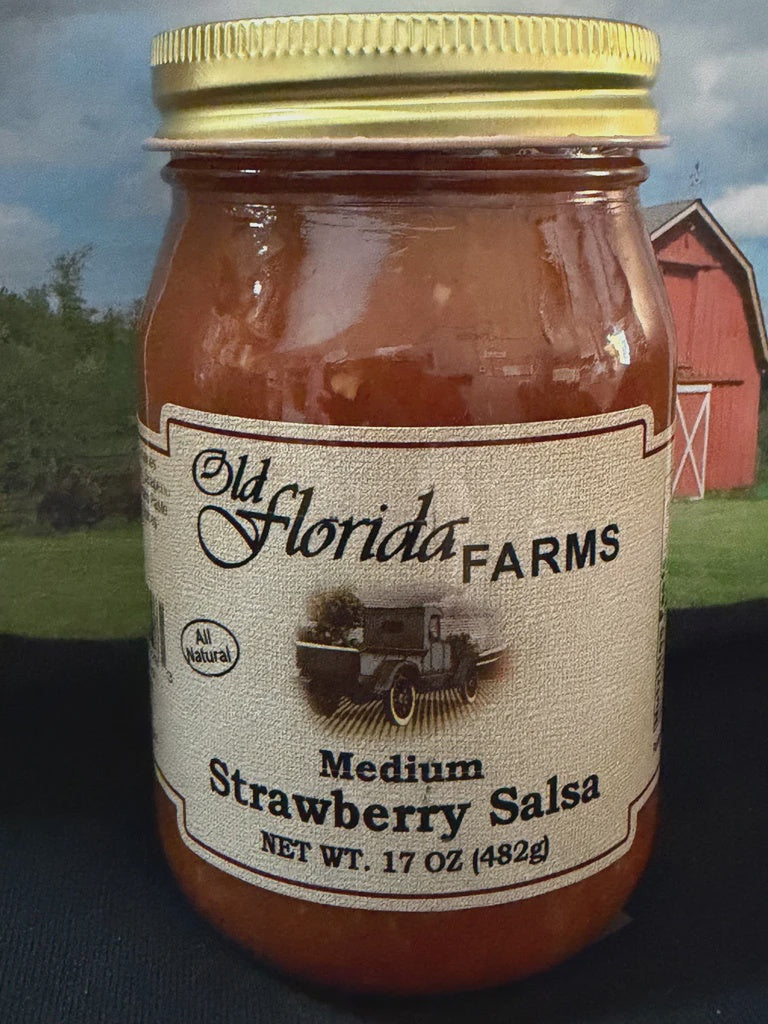 Old Florida Farm Medium Strawberry Salsa