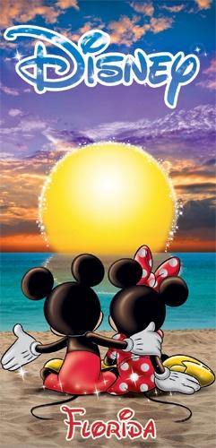Mickey Mouse Minnie Sunset Florida Beach Towel 28x58